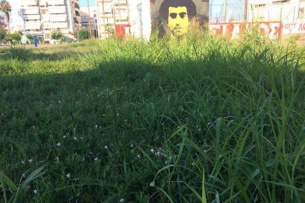 37000464 2087766258211001 5323588843583045632 n