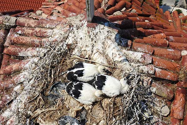 ΦΩΤ 3 ΑΡΧΕΙΟ Δ