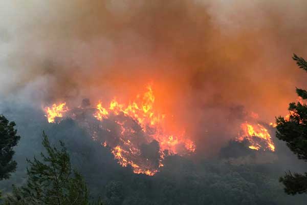 Ο ΣΥΡΙΖΑ Ηλείας για τις πυρκαγιές στο Νομό