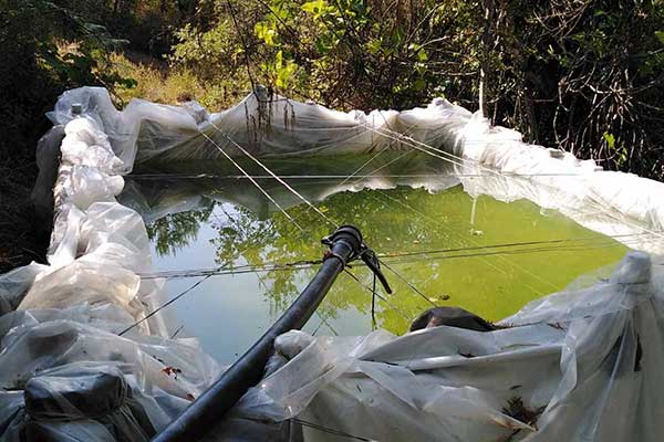 18082021fyteiadytikiellada005