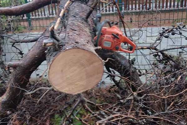 119901189 2634498820133452 7540397751458418898 n