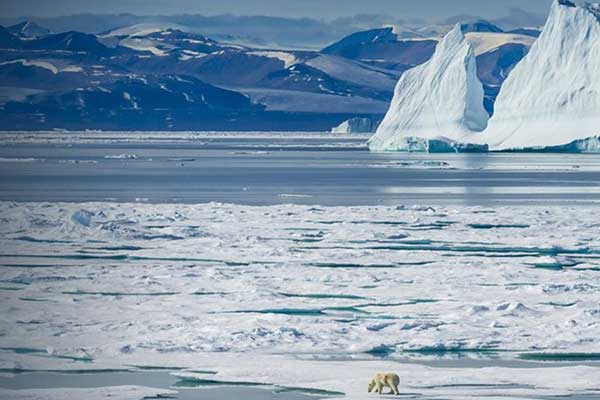 Η Γη εκπέμπει SOS: Ο Βόρειος Πόλος 2,2 βαθμούς Κελσίου πιο θερμός από το κανονικό