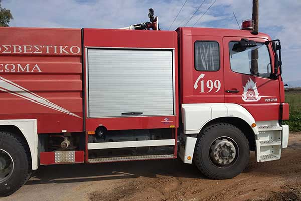 76793138 2407018926229744 5368032937528786944 o