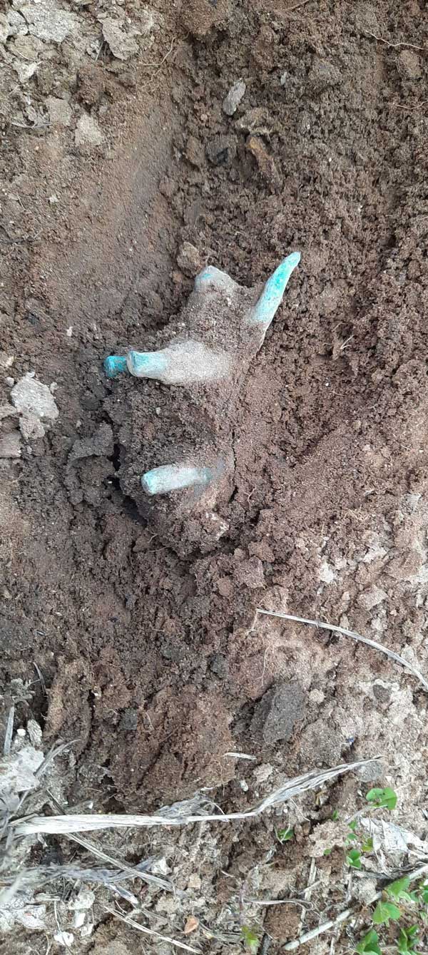 153638645 184055883134631 5868709554587178403 n