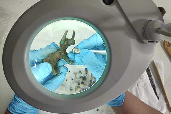 IMG 20210226 094138-scaled