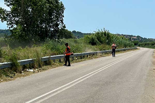 193Β ΣΚΟΥΡΟΧΩΡΙ ΜΥΡΤΙΑ