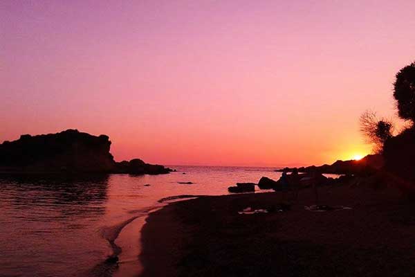 145490159 1783852411776964 1311722171228522215 n