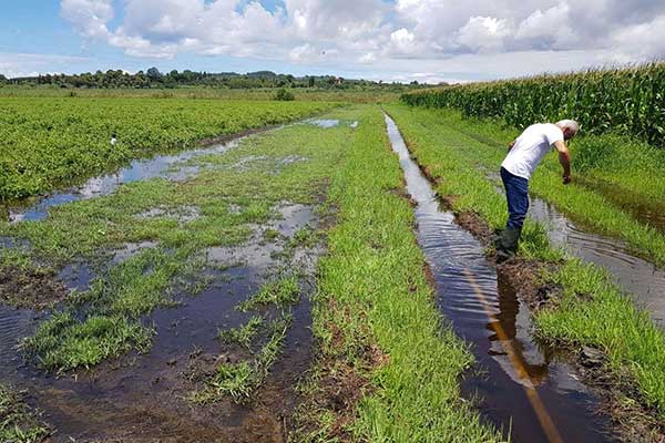 ΚΚΕ: Στη Βουλή οι καταστροφές από τις έντονες βροχοπτώσεις στην Ηλεία