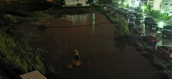 74649796 913568435710433 5884064560834412544 o