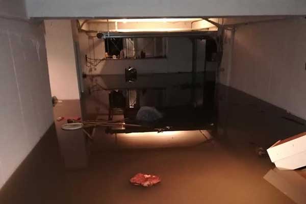 75521577 10162604683415293 5687224895398739968 n