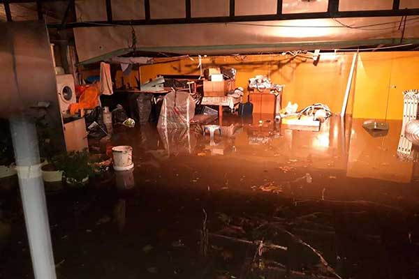 77101893 10215973608073750 2612941460164575232 n