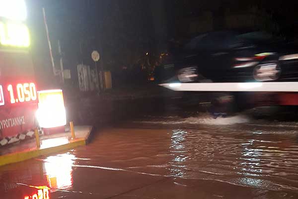 77371359 10220759485075818 7872179092219494400 o