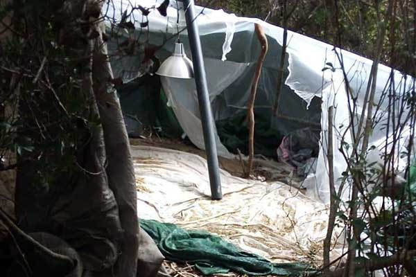 19032019dytelladaeksarthrosi004