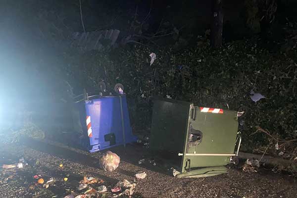 316522905 5615649538521307 6128619832848505785 n