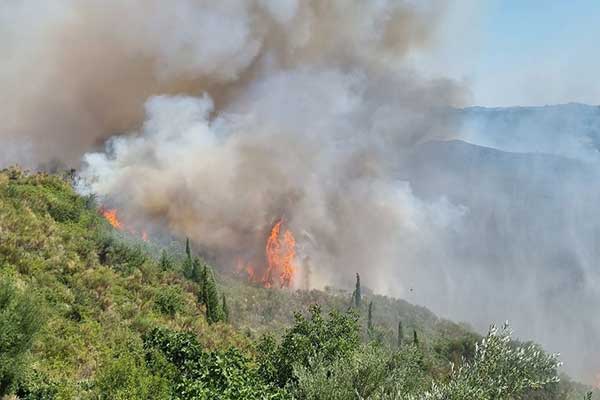 295059948 757566142058484 4876810085348900543 n