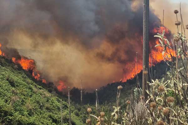 295243836 757566168725148 2049816799544509845 n