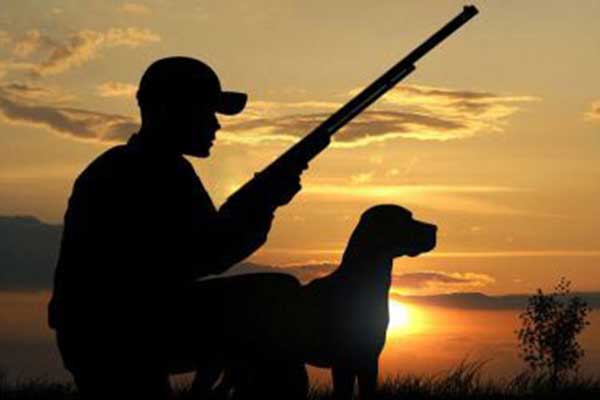 Ο Δασάρχης Πύργου Παναγιώτης Λάττας για την έναρξη της κυνηγετικής περιόδου 2016-17