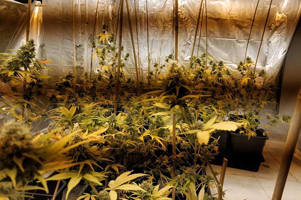 21012019dytellnark002