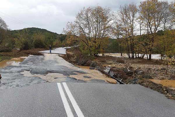 xalk03 252863 180218 type13260