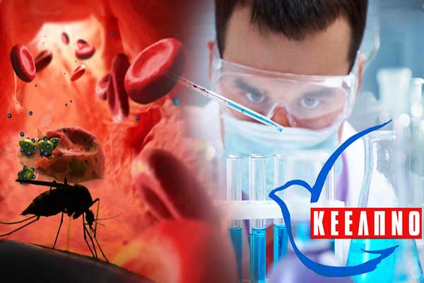 Πρωταθλήτριες της ελονοσίας Ηλεία και Αχαΐα