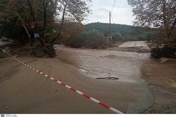 thasos-plimm-1-Custom