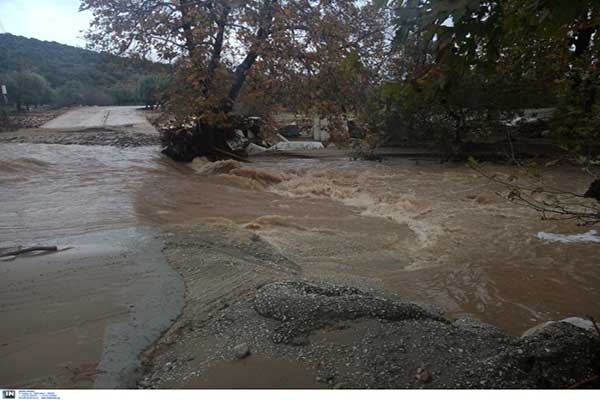 thasos-plimmyres-Custom