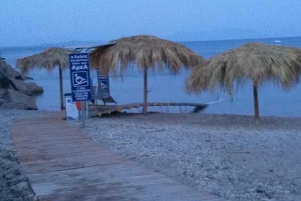 67256242 477054759786234 6106039933959405568 n