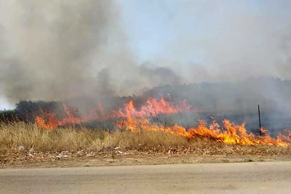 68830496 2335641720034132 7021933244450865152 n