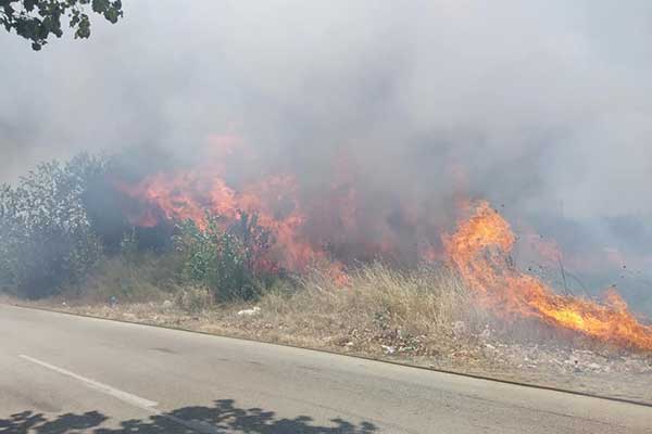 69099441 2335641563367481 2834091593978347520 n