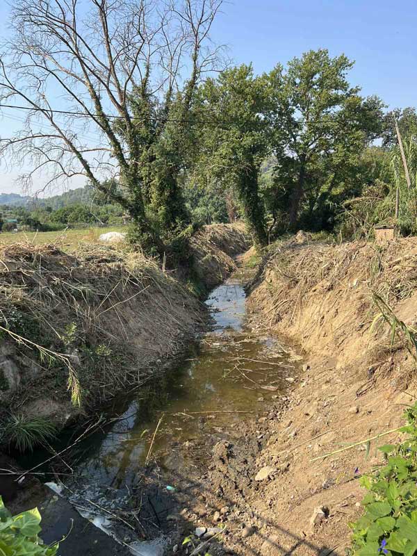 ΣΕΛΙΝΟΥΝΤΑΣ 4