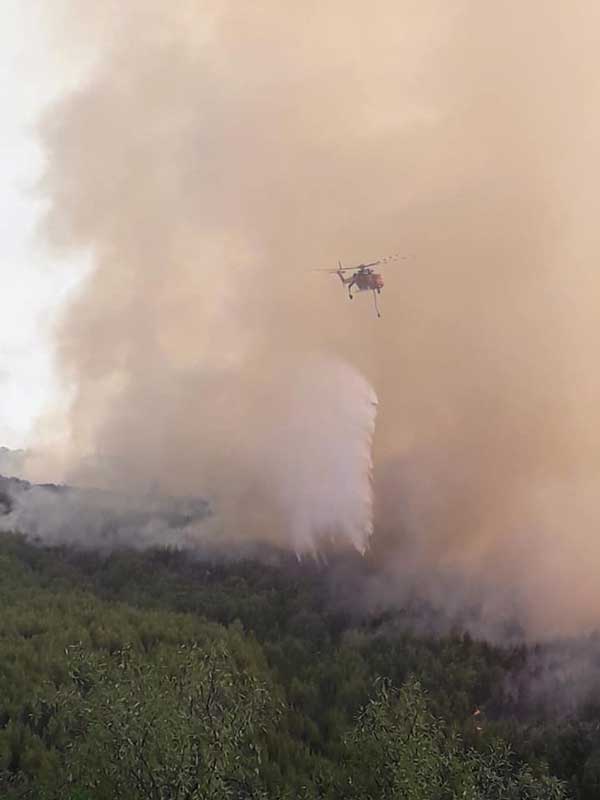 110603538 3389205744424494 2999729606288538920 n