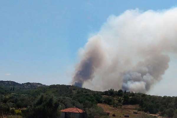 111284435 3551800984851534 5416429445462618559 n