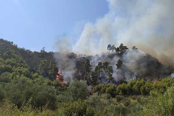 112113077 3251960594827398 7202608169776086618 n