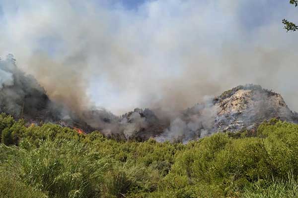 113091056 3251960718160719 2495100061330633447 n