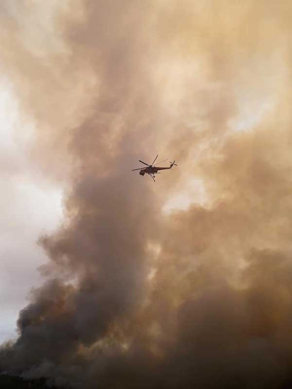 116175410 3389205654424503 7117800502123931078 n