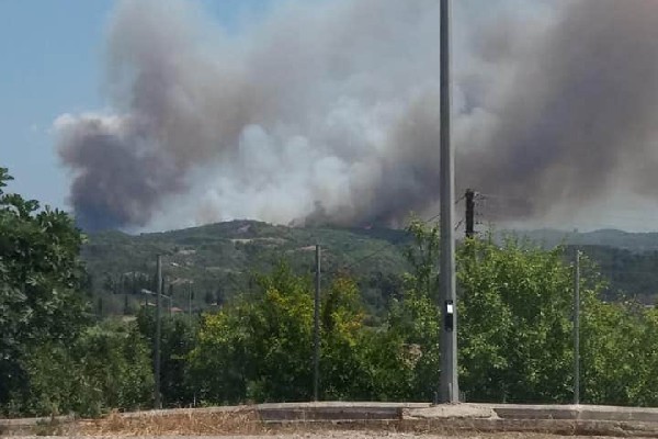 FB IMG 1595603666402 copy 600x400