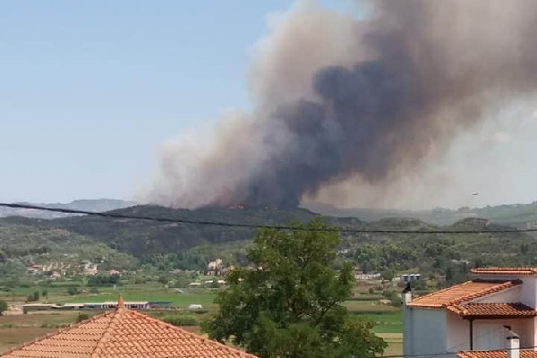 FB IMG 1595603675299 copy 600x400