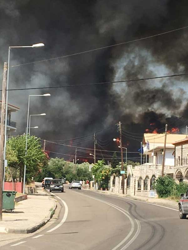 294685897 5090121341101694 2682521792570214608 n