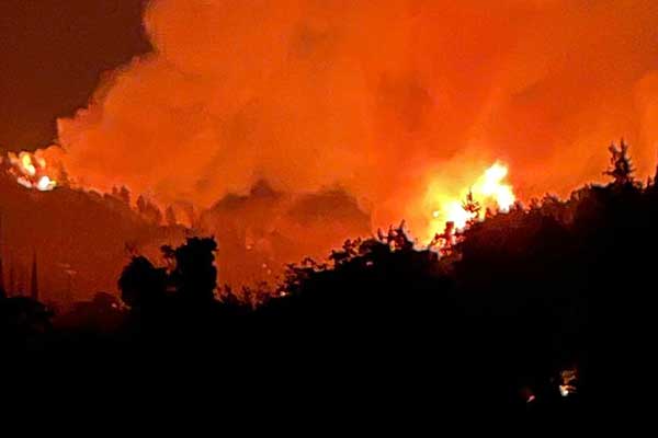 294942688 3158994951016264 7161846395752822662 n