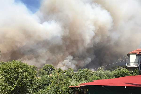 295266337 10225198907193888 2488652145288077079 n