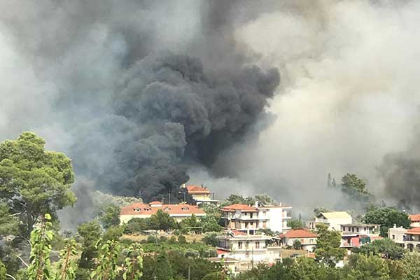 295621340 10225198908393918 7963803518344907444 n