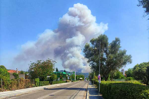 295670052 7834583139946366 910318915365735653 n