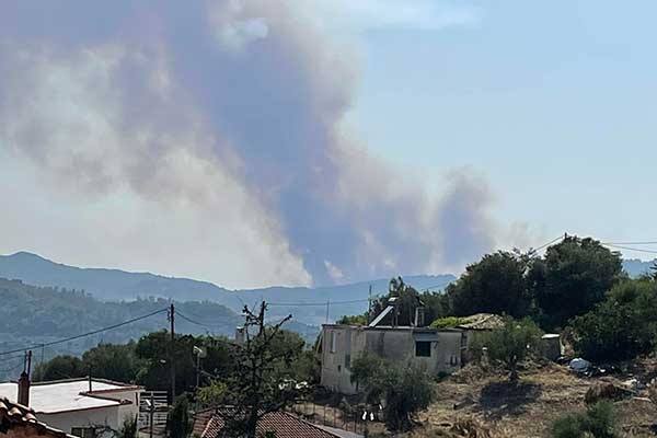 295758736 5599577893399240 7233853542683439356 n