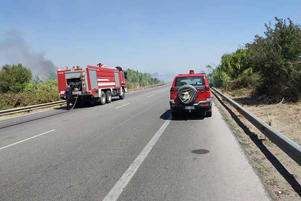 68849218 2336308463300791 8461882203654062080 n