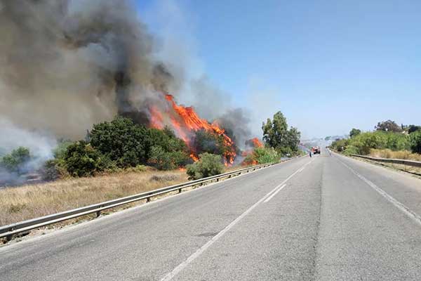 68900106 2336308179967486 3650289002608590848 n