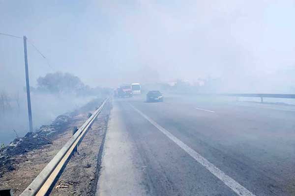 69417133 2336299513301686 2518065074250186752 n