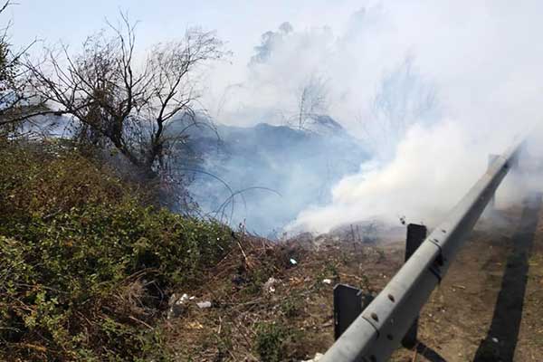 69428299 2336299486635022 5053994777205276672 n