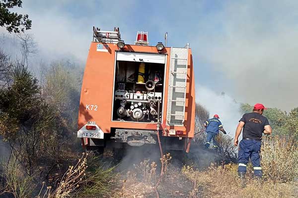 115728652 1713706232116971 6401033756129975185 n