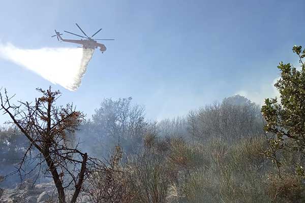 116199610 1713706358783625 1717719028011741423 n