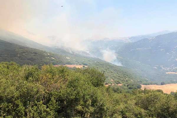 wokiapsjxs5d627ad1e47d4